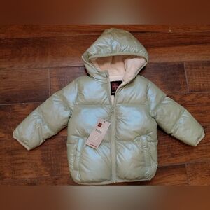 Swiss Tech Toddler Girls Puffer Winter Jacket Green Metallic Size 3T NWT